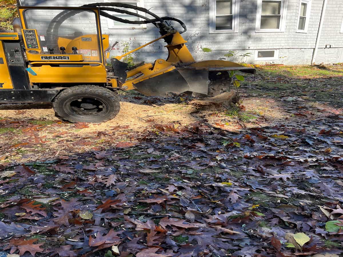 Stump Grinding
